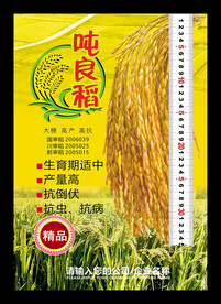 水稻海报
