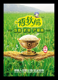 水稻海报