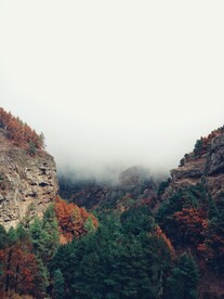 山谷山林