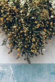 花丛