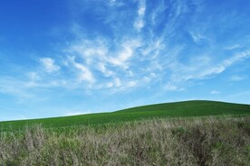 草原风光