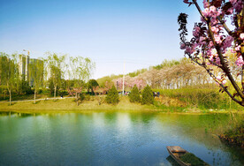 湖边美景