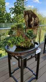 川派盆景山水盆景