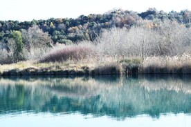 湖边树林风景