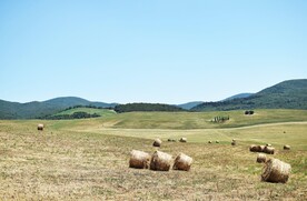 山脉草原风景