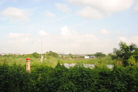 郊野晴天