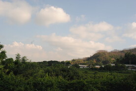 郊野晴天