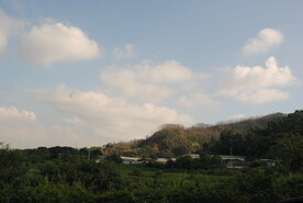 郊野