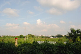 郊野草地