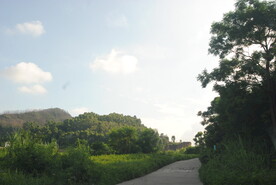 郊区山林