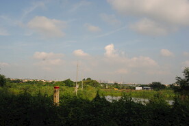 山野