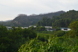 山地山林