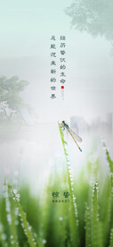 雨水海报  