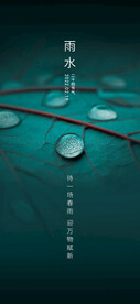 雨水海报  