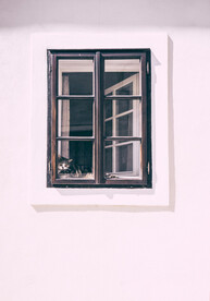 小猫