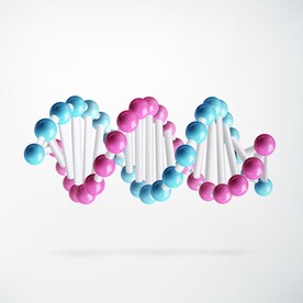 DNA分子