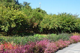公园风景 