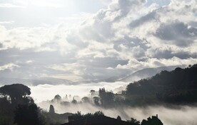 山脉树林风景