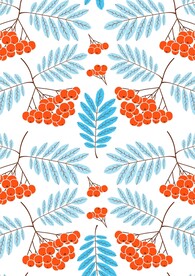 树叶野果子