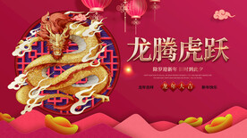 龙年