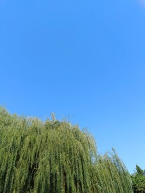 蓝色天空背景