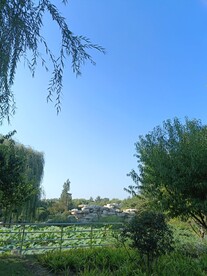 午后随手背景