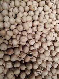 坚果背景核桃