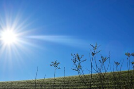 草原和太阳