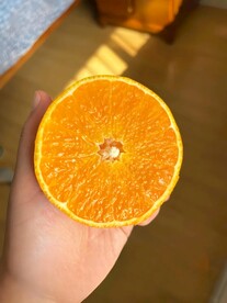 橙子