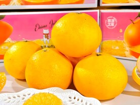 橙子