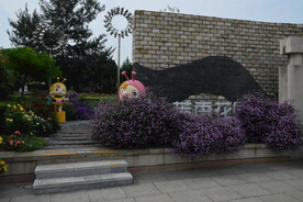 公园风景 