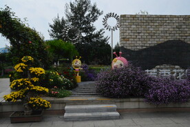 公园风景