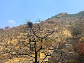 天赐山