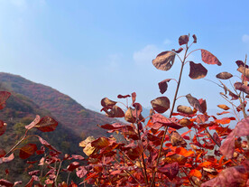 天赐山
