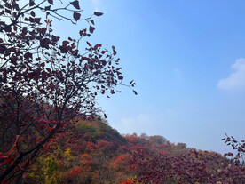 天赐山