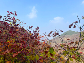 青州天赐山