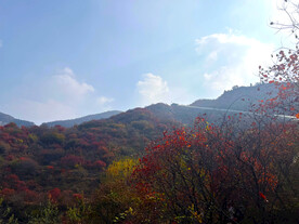 青州天赐山