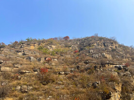 青州天赐山