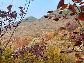 青州天赐山