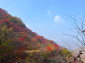 青州天赐山