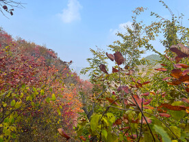 青州天赐山