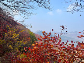青州天赐山