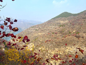 青州天赐山