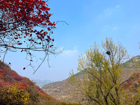 青州天赐山