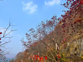青州天赐山