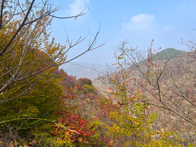 青州天赐山