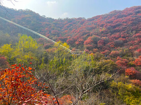 青州天赐山
