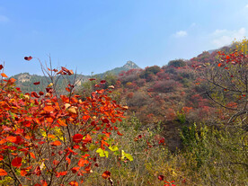 青州天赐山