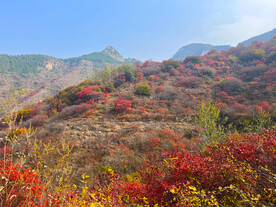 青州天赐山