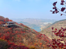 青州红叶